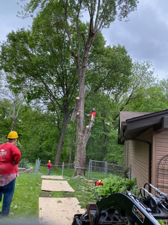 Liscombe Tree Service - Saint Charles, MO