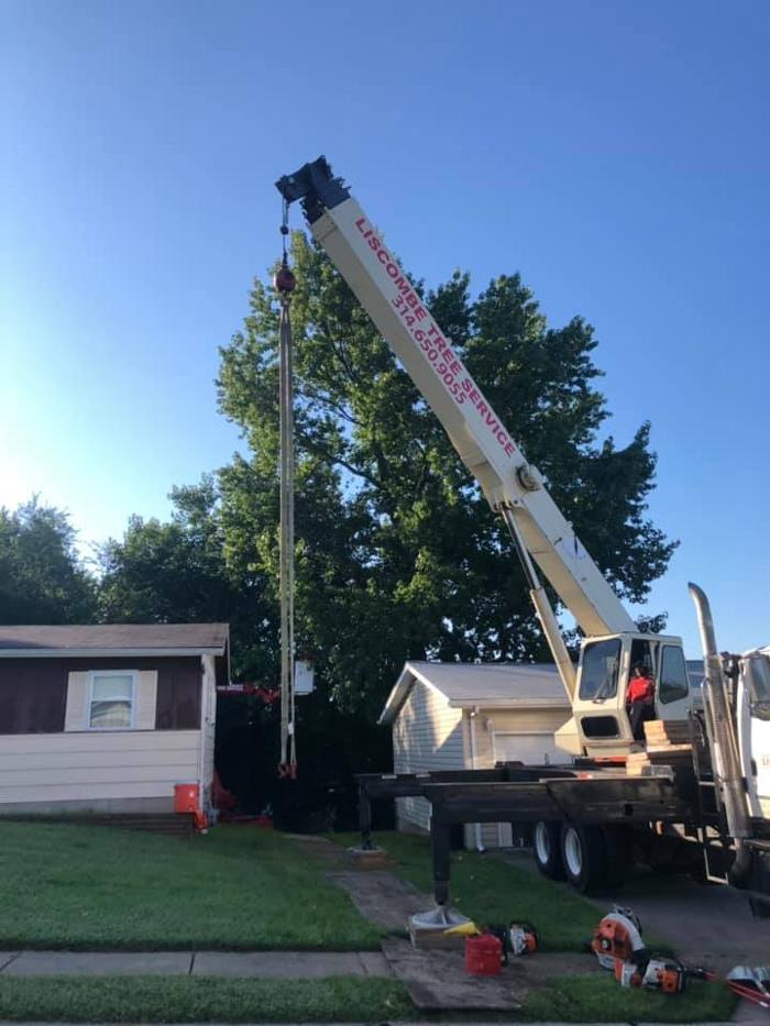 Liscombe Tree Service - Saint Charles, MO