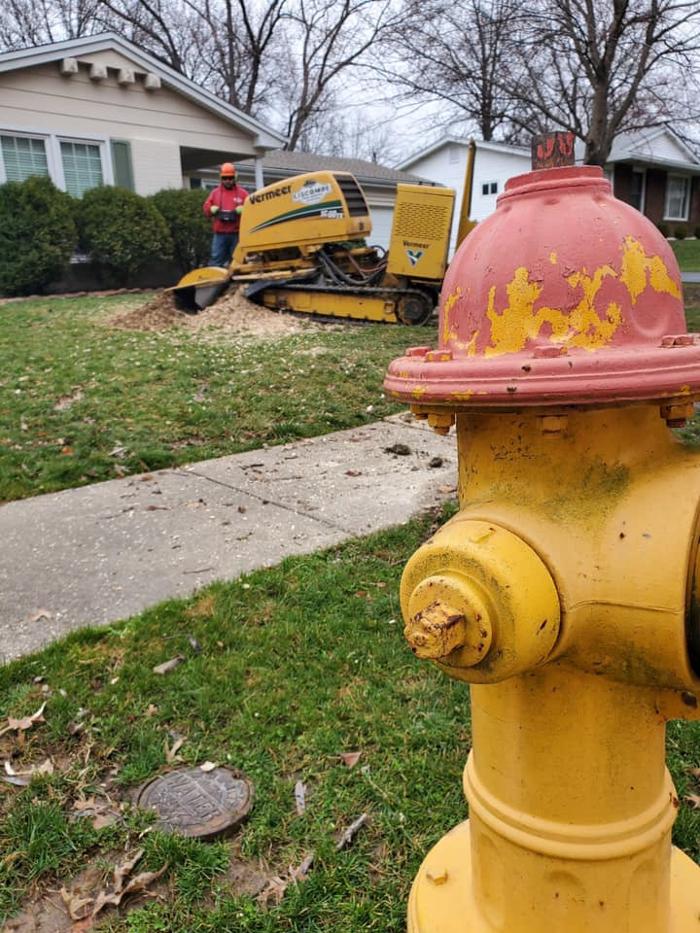 Liscombe Tree Service - Saint Charles, MO