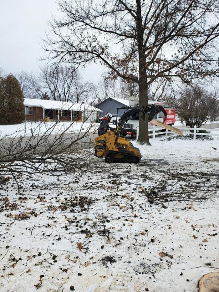 Liscombe Tree Service - Saint Charles, MO