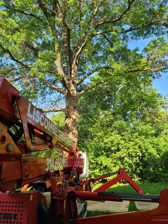 Liscombe Tree Service - Saint Charles, MO