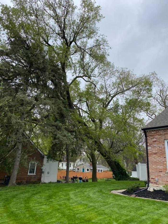 Liscombe Tree Service - Saint Charles, MO