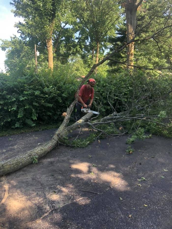 Liscombe Tree Service - Saint Charles, MO