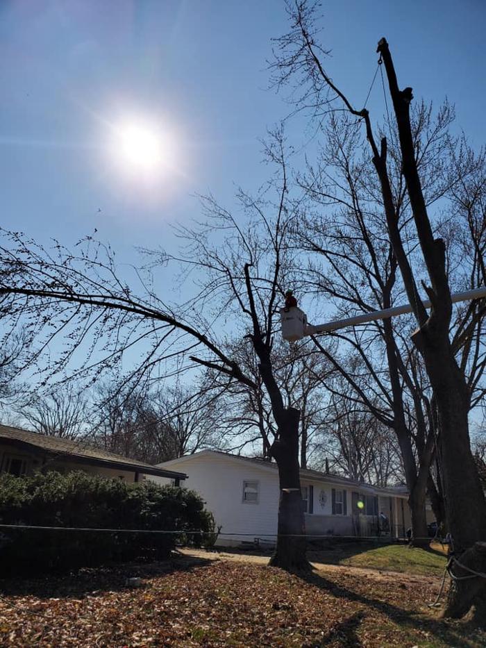 Liscombe Tree Service - Saint Charles, MO