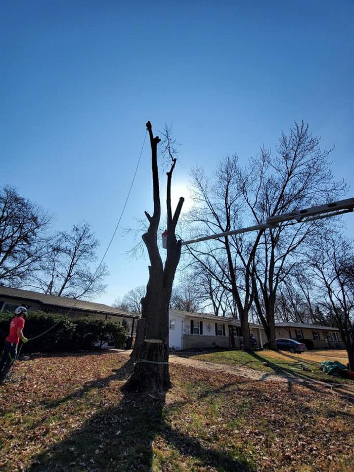 Liscombe Tree Service - Saint Charles, MO