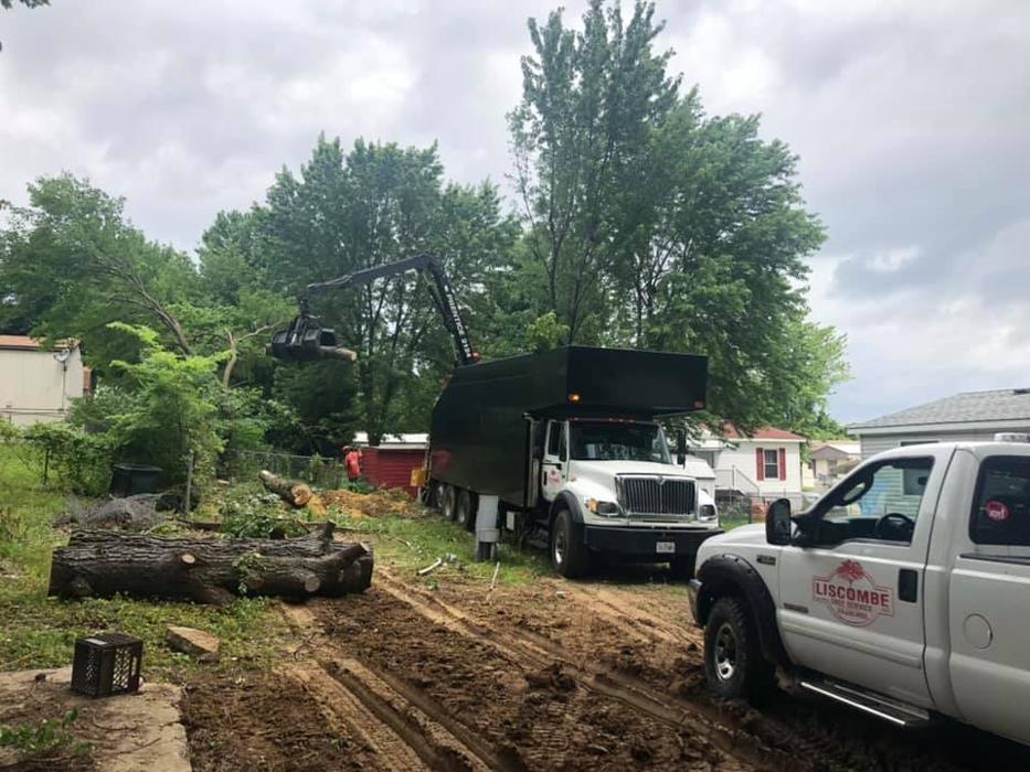 Liscombe Tree Service - Saint Charles, MO