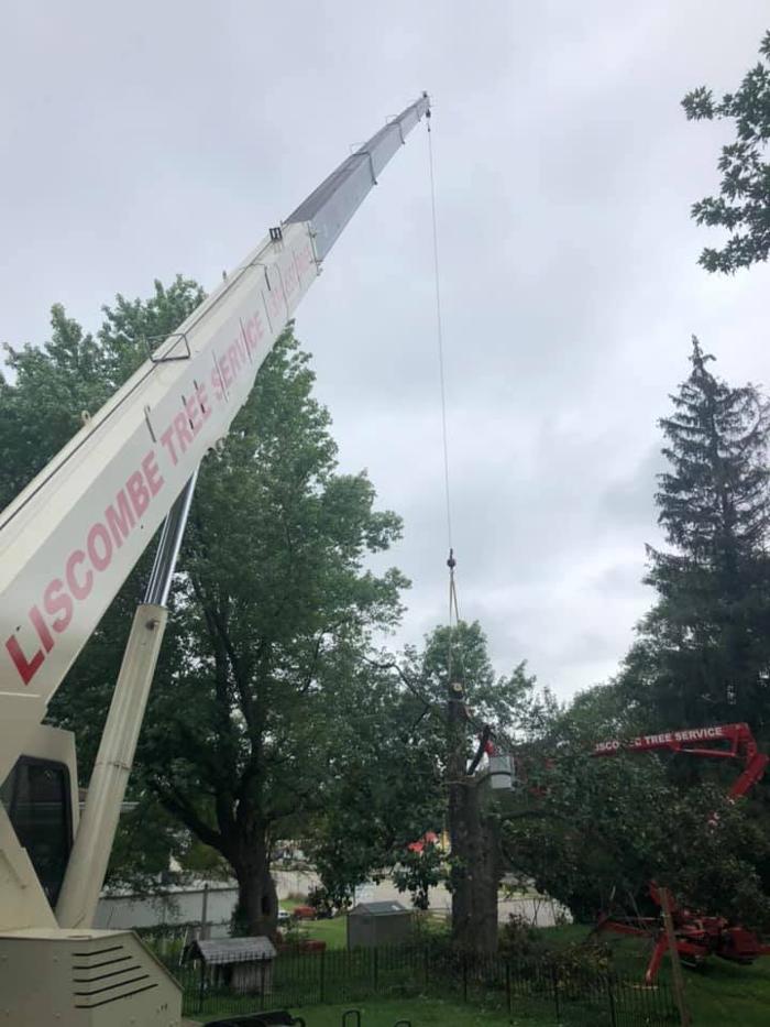 Liscombe Tree Service - Saint Charles, MO