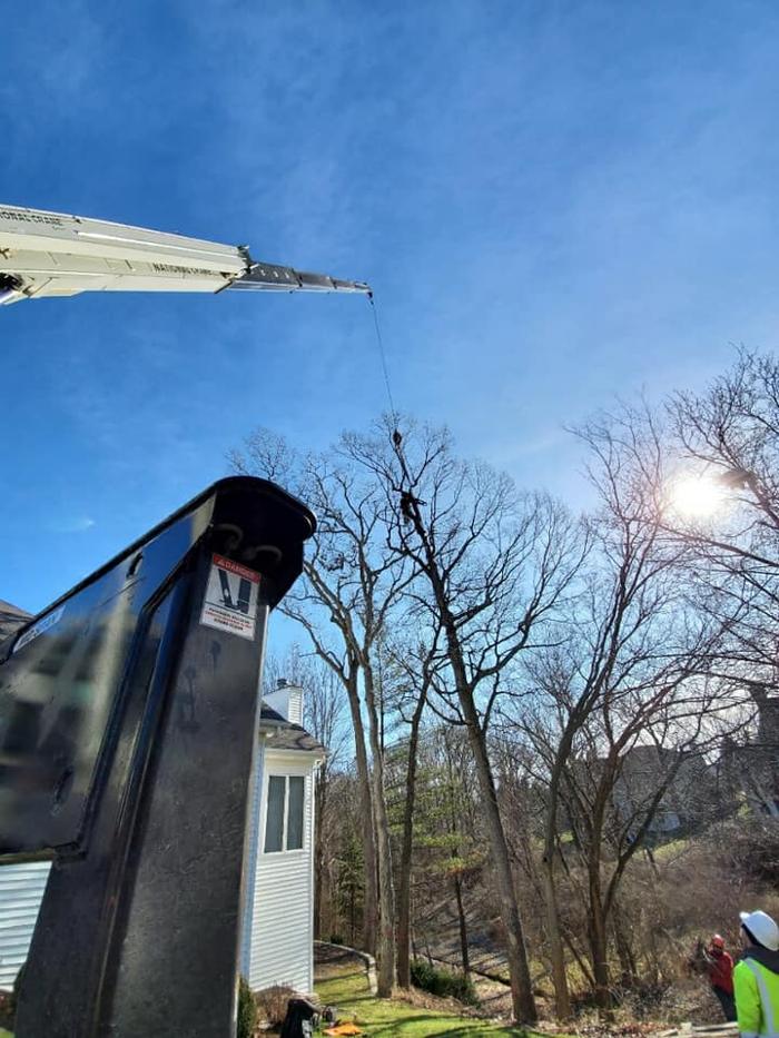Liscombe Tree Service - Saint Charles, MO