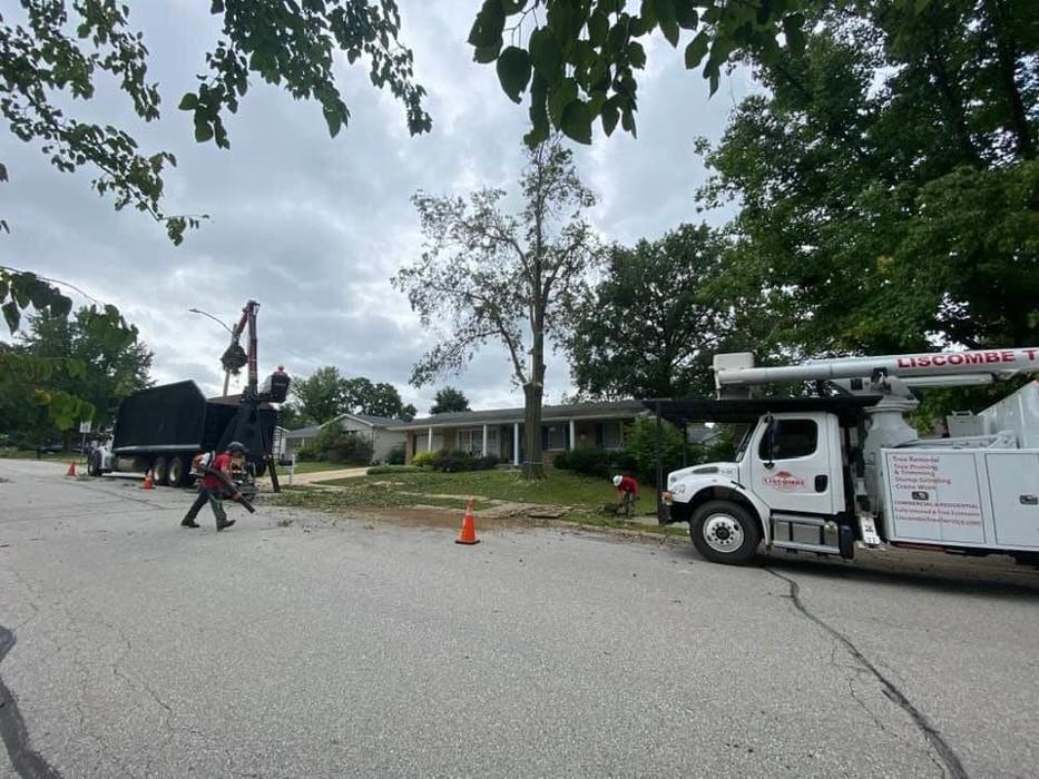Liscombe Tree Service - Saint Charles, MO