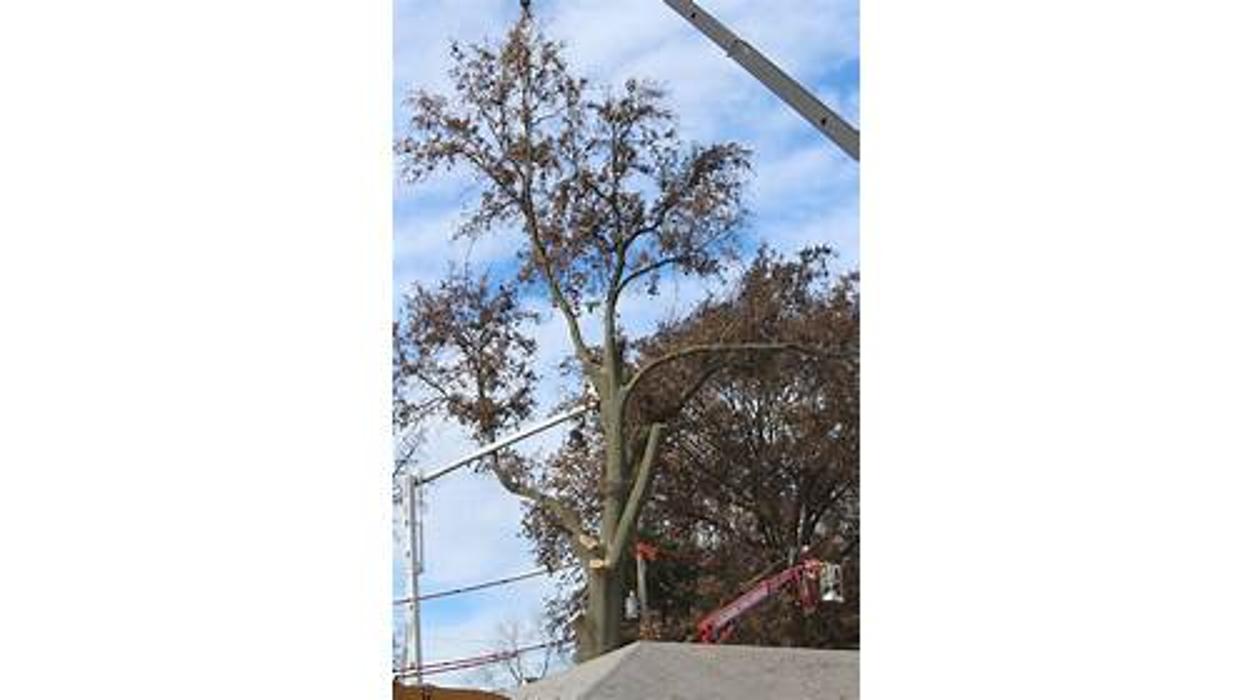 Liscombe Tree Service - Saint Charles, MO
