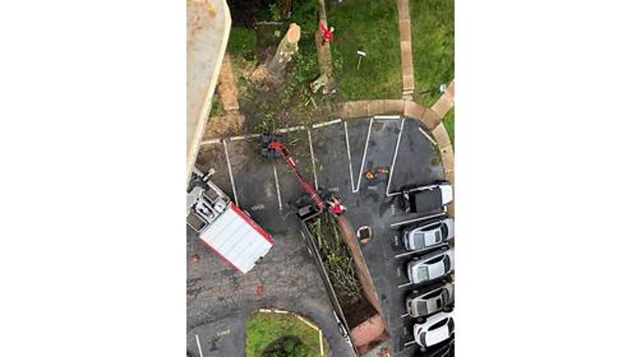 Liscombe Tree Service - Saint Charles, MO