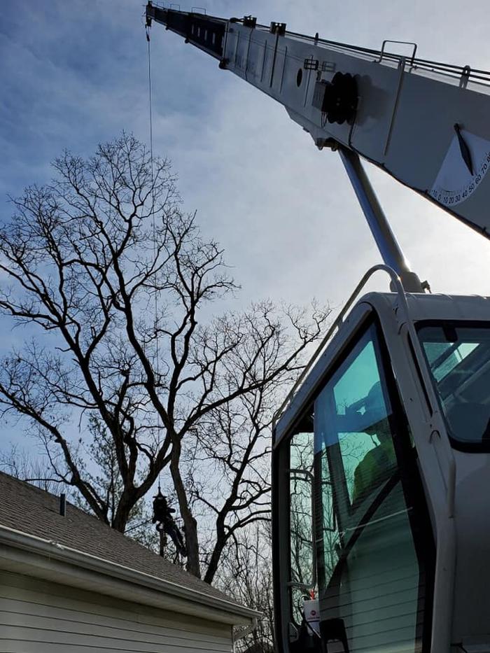 Liscombe Tree Service - Saint Charles, MO