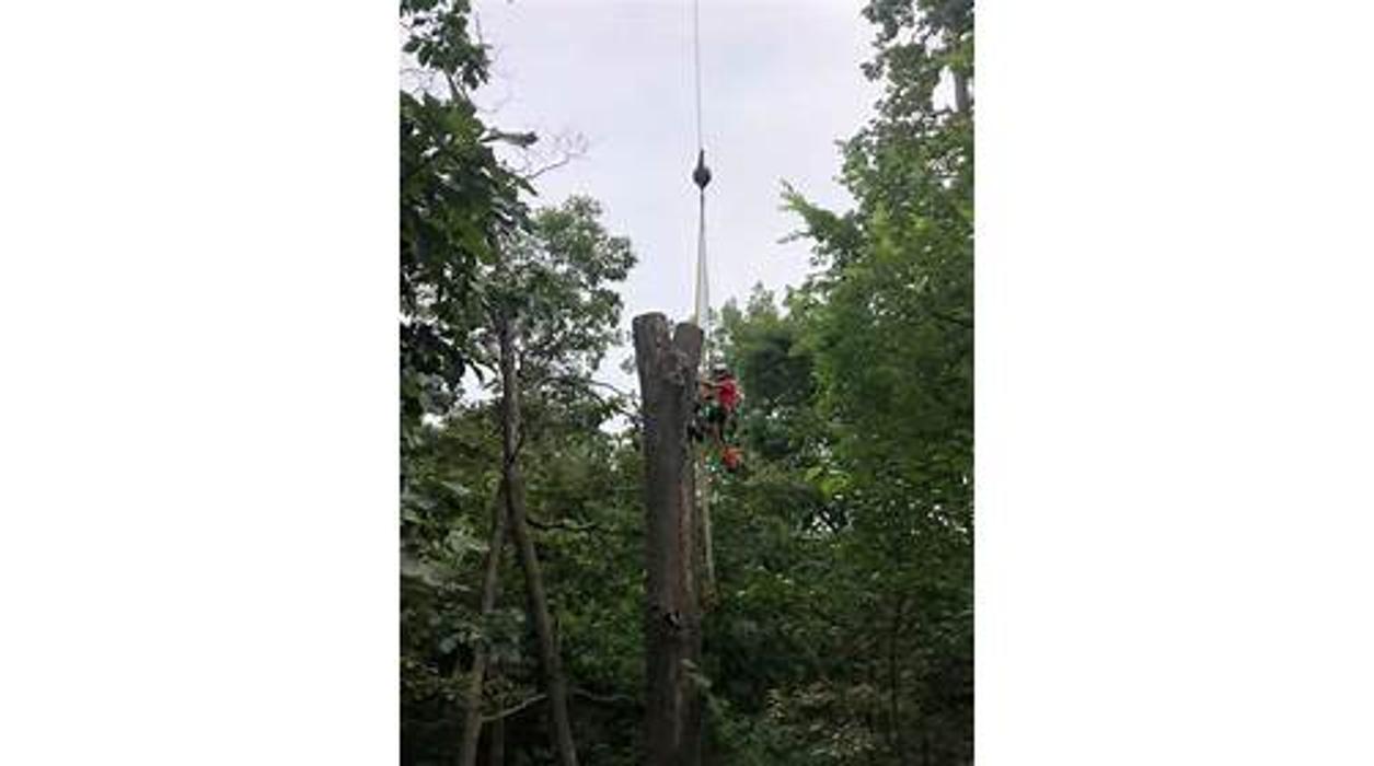 Liscombe Tree Service - Saint Charles, MO
