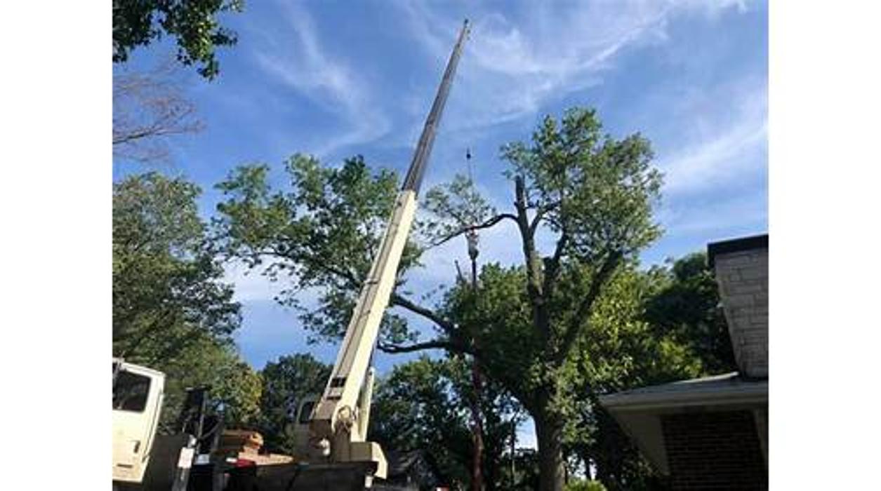 Liscombe Tree Service - Saint Charles, MO
