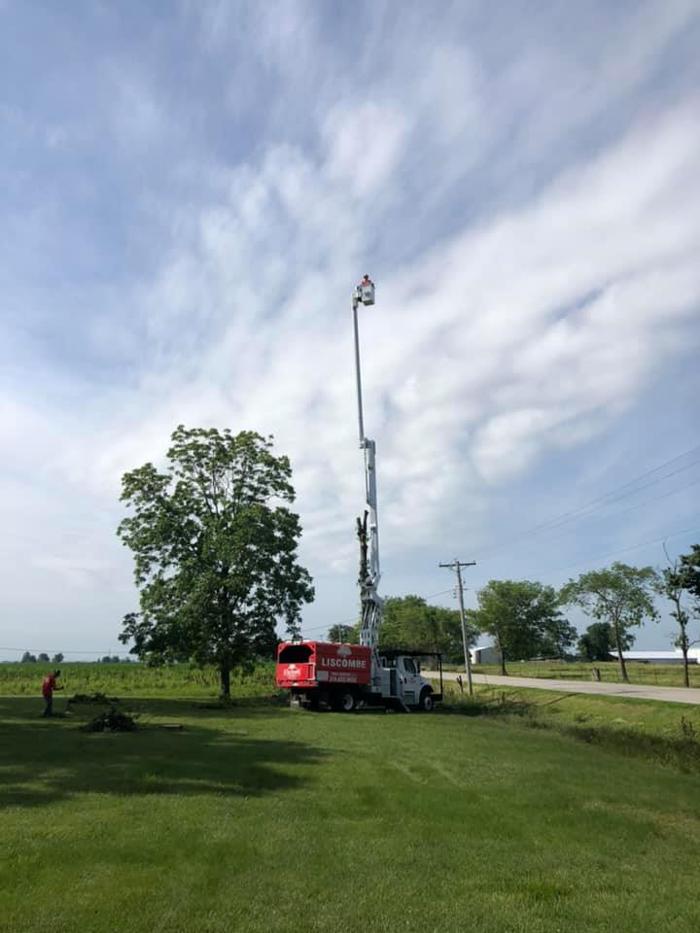 Liscombe Tree Service - Saint Charles, MO