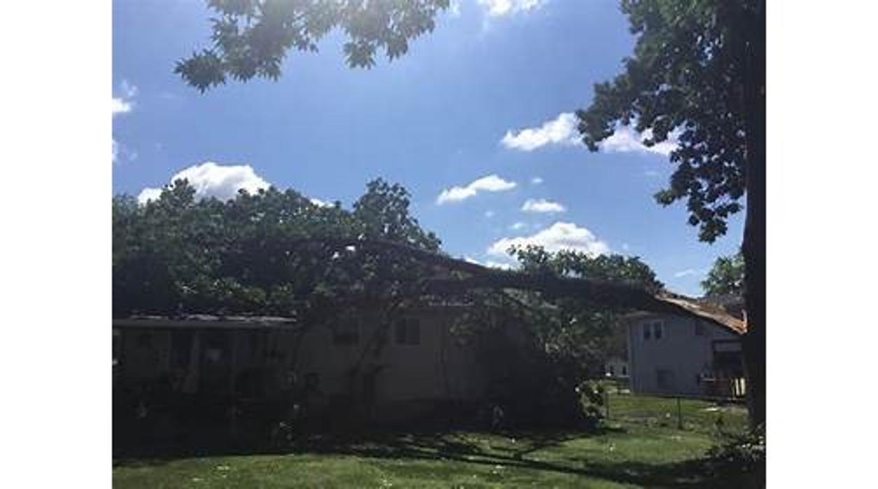 Liscombe Tree Service - Saint Charles, MO