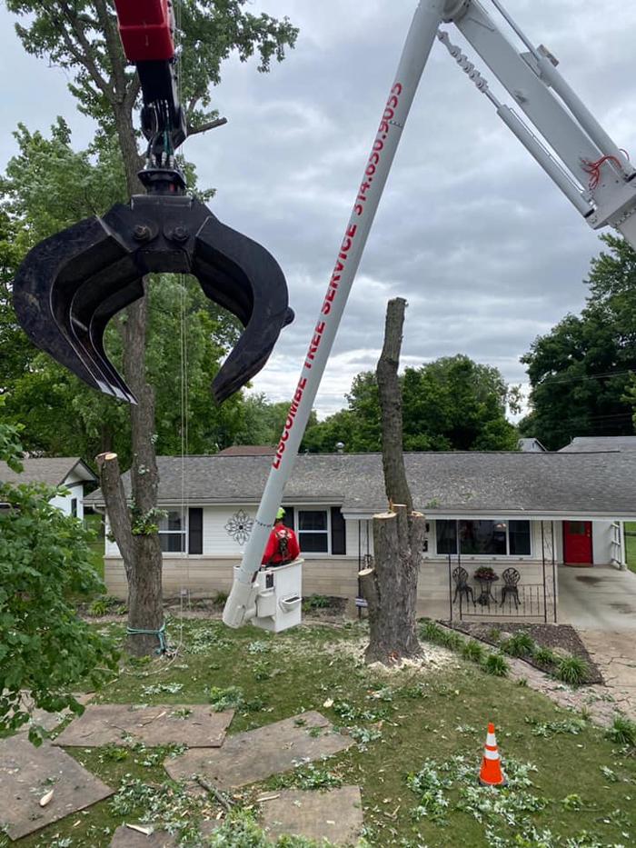Liscombe Tree Service - Saint Charles, MO