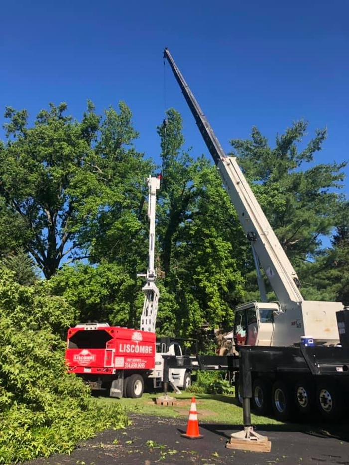 Liscombe Tree Service - Saint Charles, MO