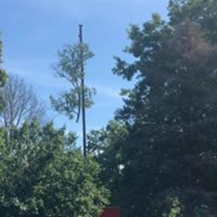 Liscombe Tree Service - Saint Charles, MO