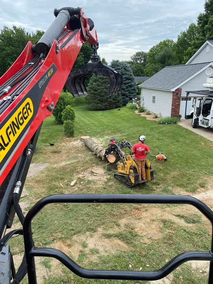 Liscombe Tree Service - Saint Charles, MO