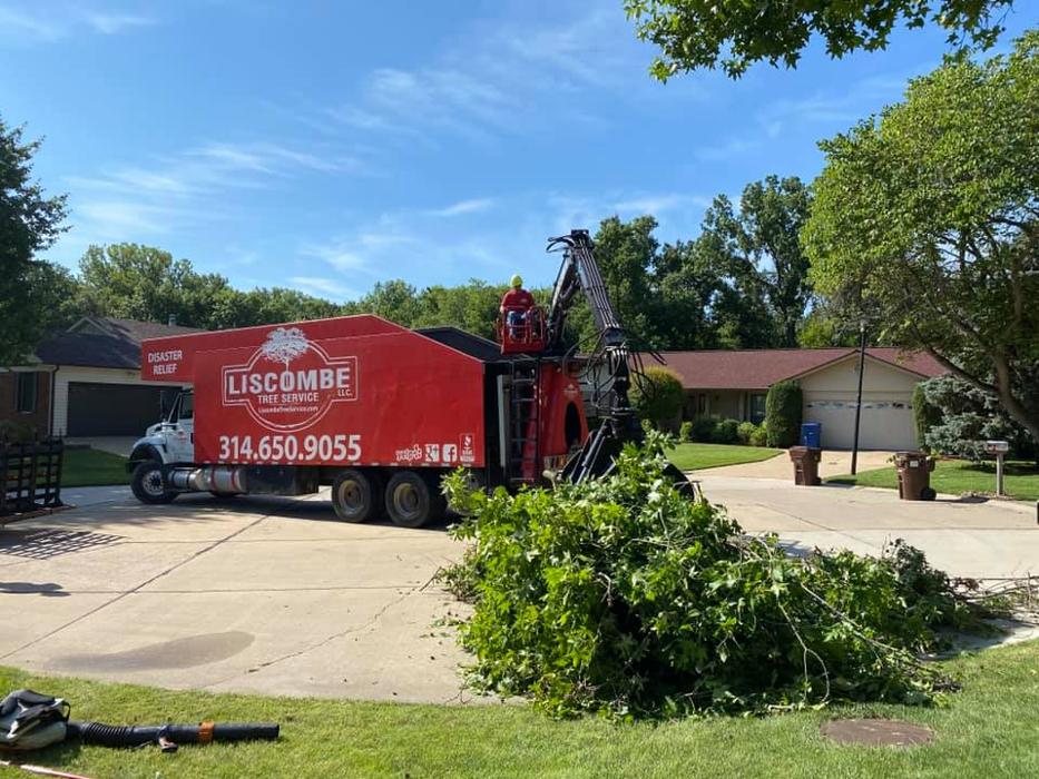 Liscombe Tree Service - Saint Charles, MO