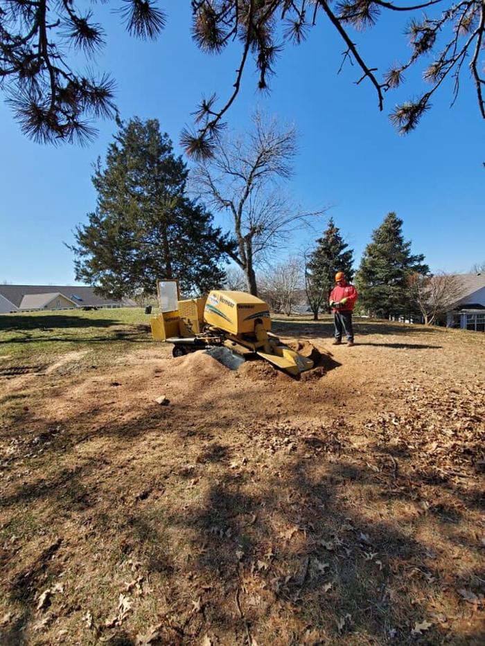 Liscombe Tree Service - Saint Charles, MO