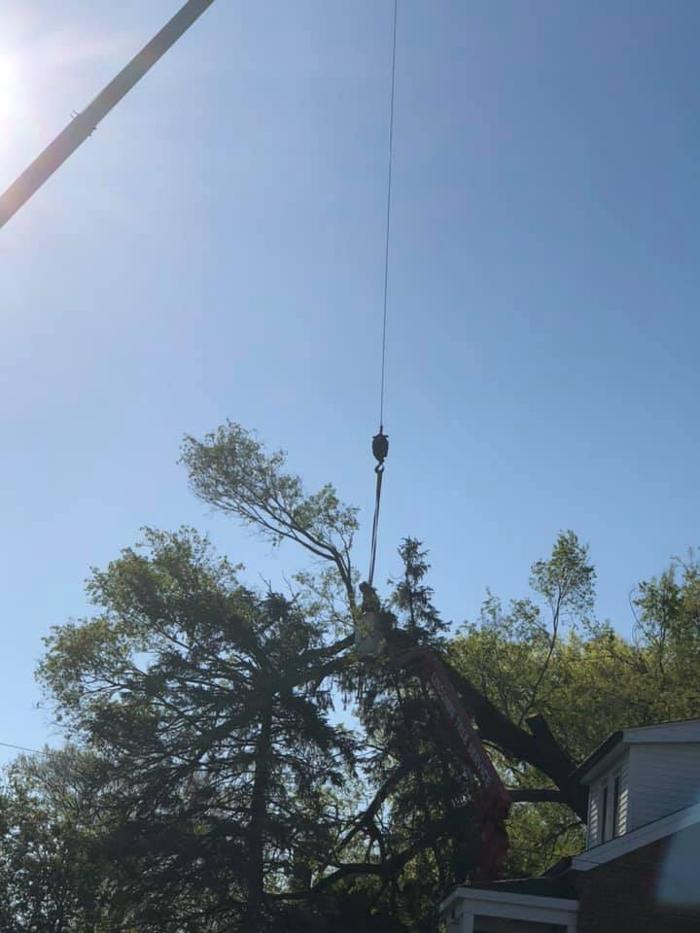 Liscombe Tree Service - Saint Charles, MO