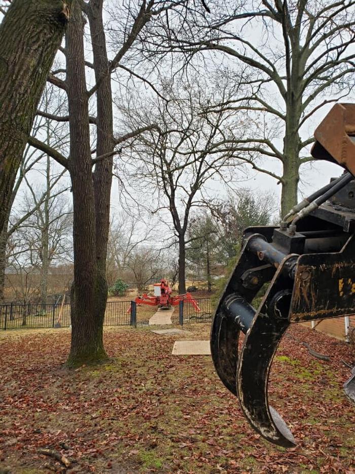 Liscombe Tree Service - Saint Charles, MO