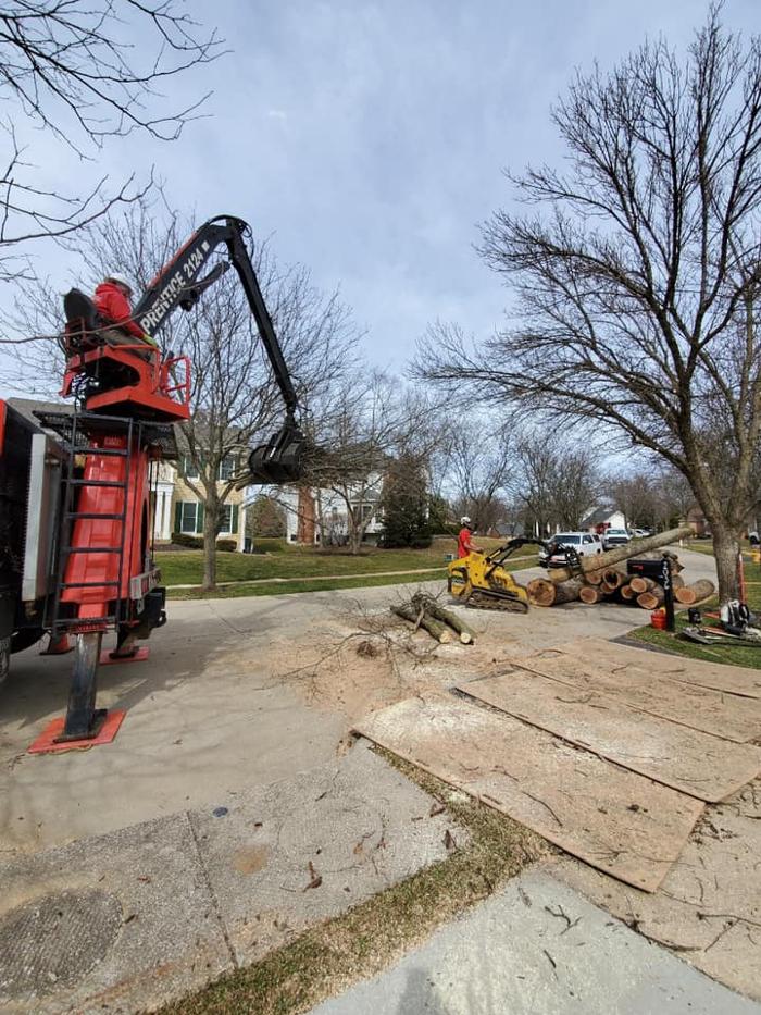 Liscombe Tree Service - Saint Charles, MO