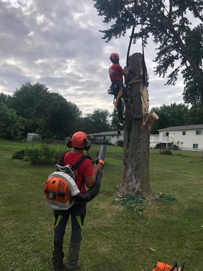 Liscombe Tree Service - Saint Charles, MO