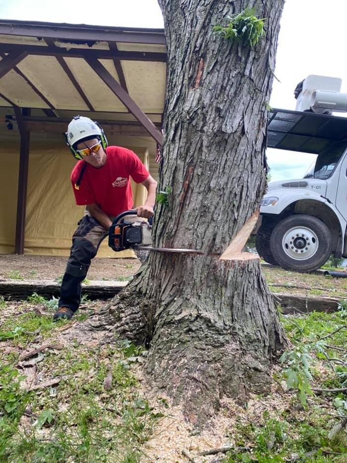 Liscombe Tree Service - Saint Charles, MO