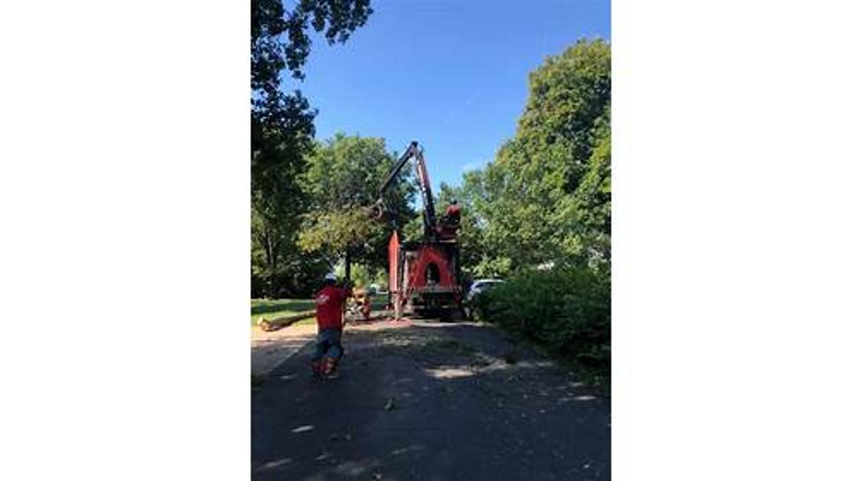 Liscombe Tree Service - Saint Charles, MO