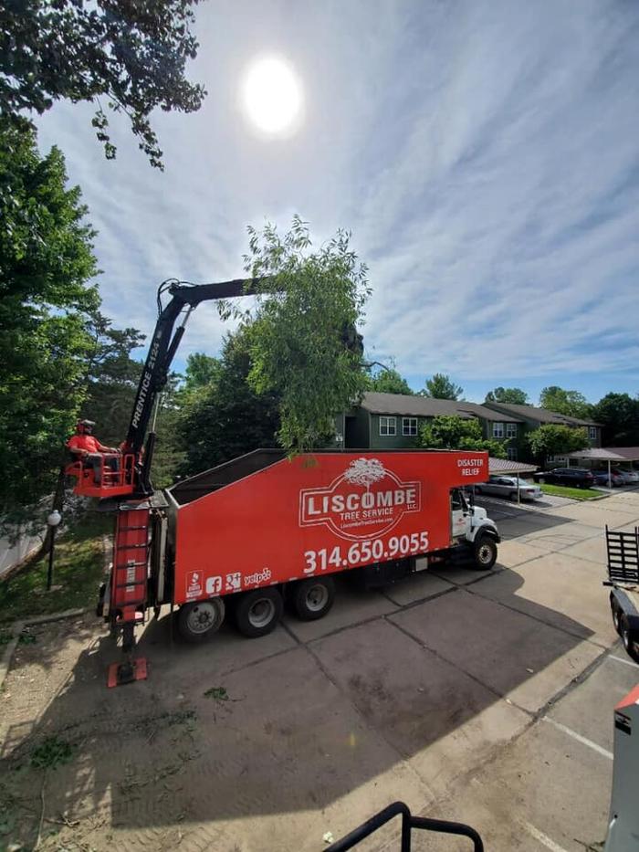 Liscombe Tree Service - Saint Charles, MO