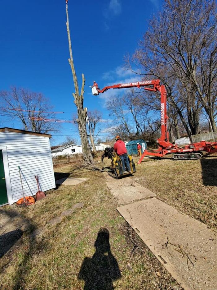 Liscombe Tree Service - Saint Charles, MO