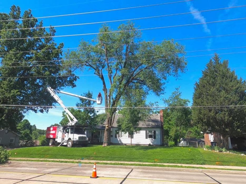Liscombe Tree Service - Saint Charles, MO