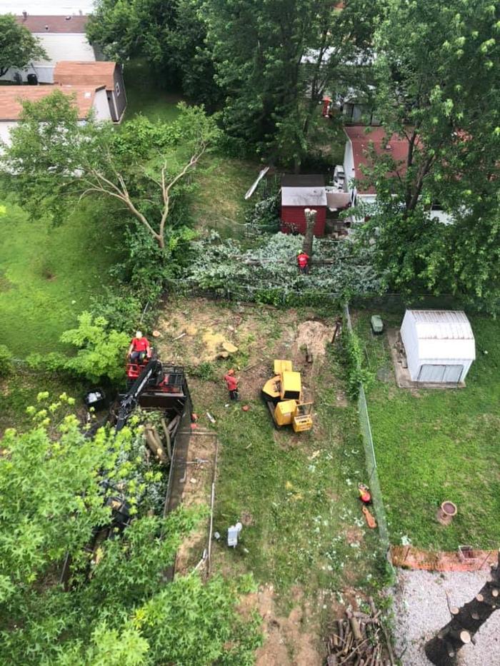 Liscombe Tree Service - Saint Charles, MO
