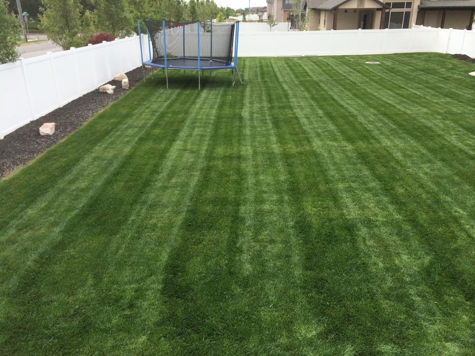 Tuxedo Yard Care - Ogden, UT