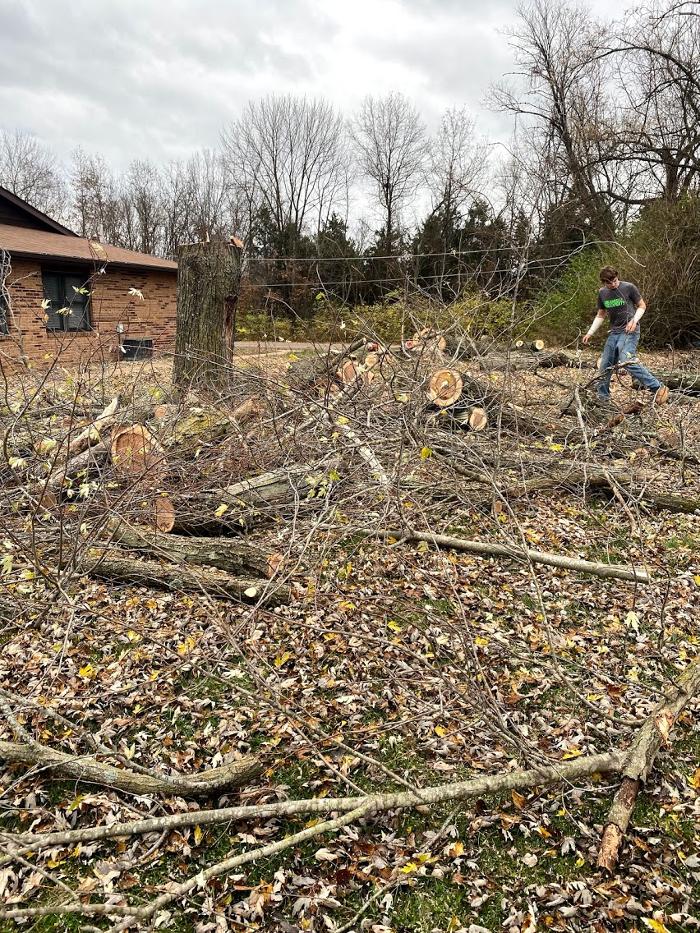 Mid America Tree Experts - Pacific, MO