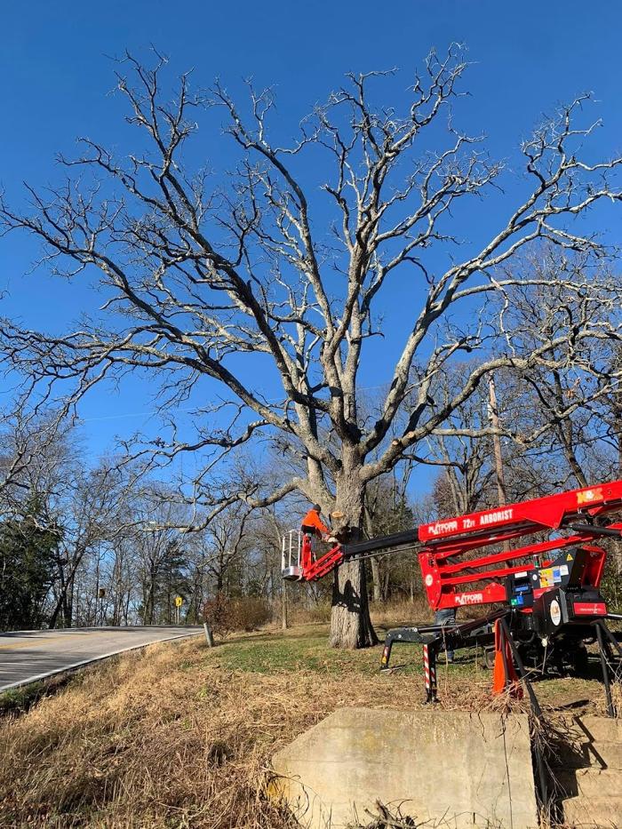 Mid America Tree Experts - Pacific, MO