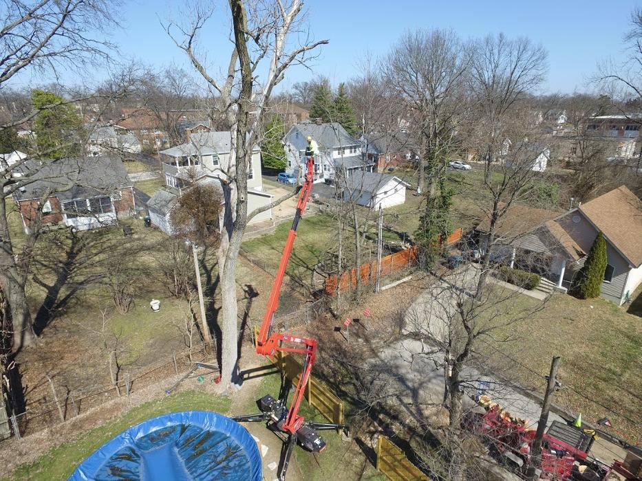 Mid America Tree Experts - Pacific, MO