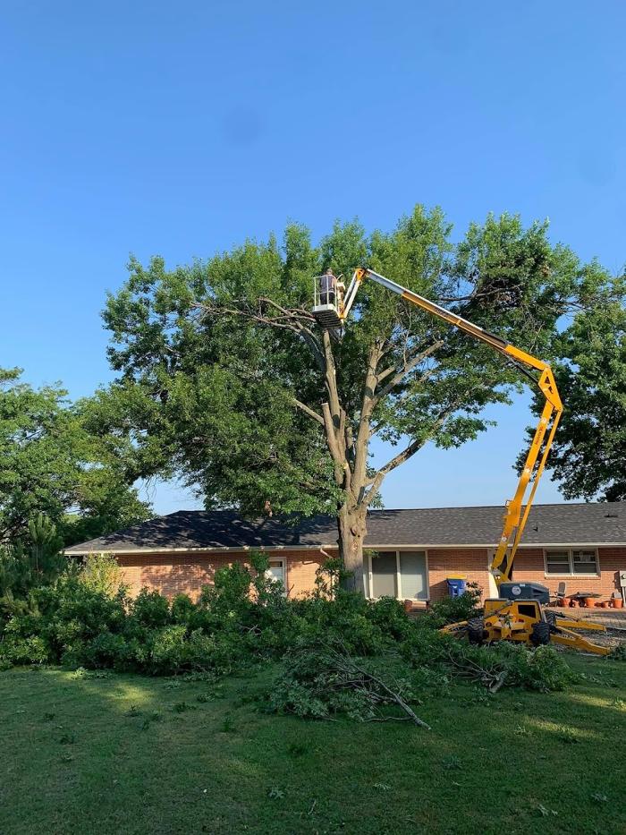 Mid America Tree Experts - Pacific, MO