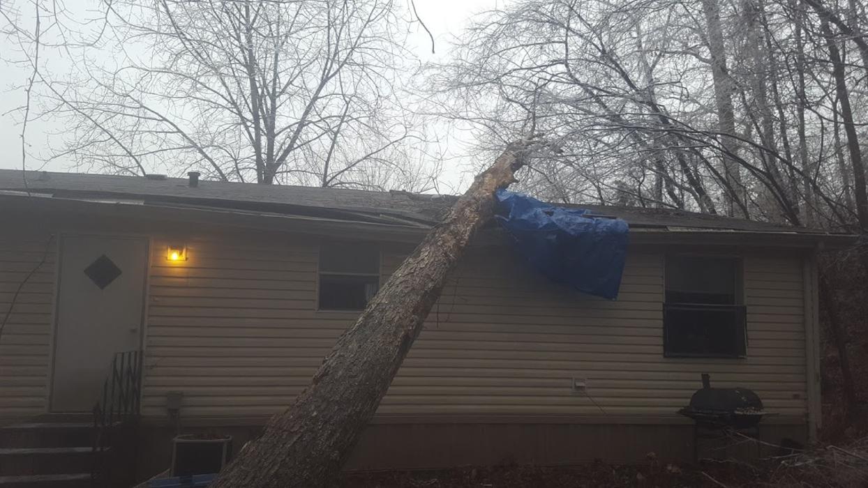 Mid America Tree Experts - Pacific, MO