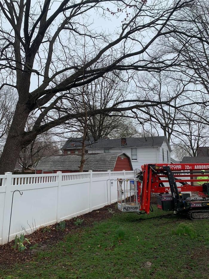 Mid America Tree Experts - Pacific, MO