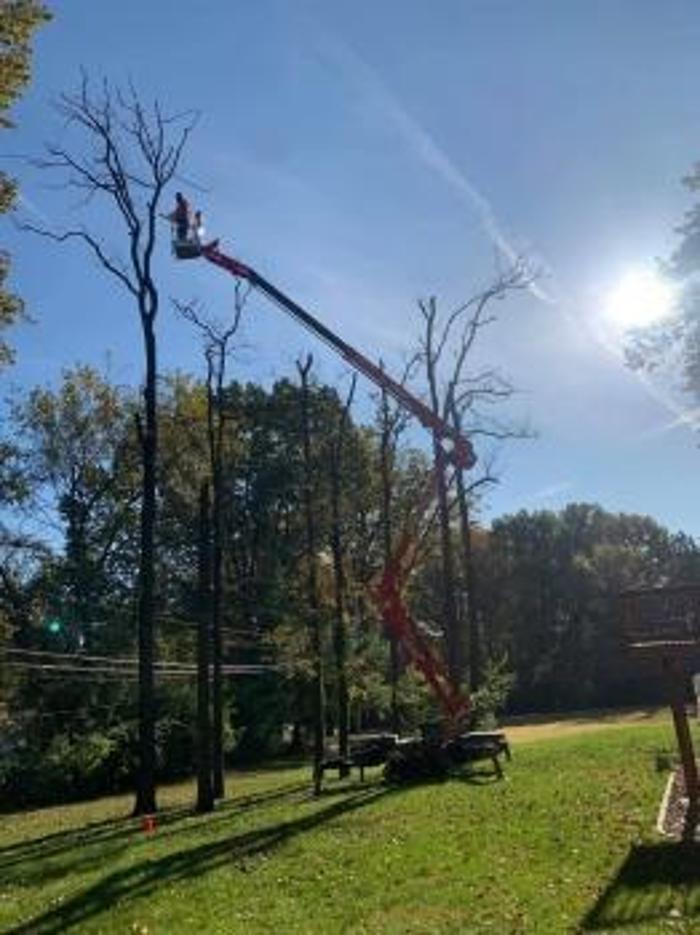 Mid America Tree Experts - Pacific, MO
