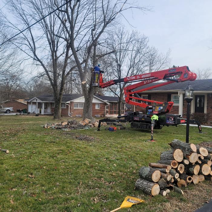 Mid America Tree Experts - Pacific, MO
