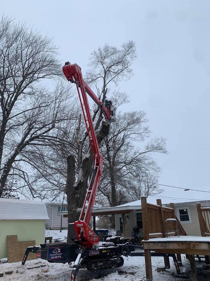 Mid America Tree Experts - Pacific, MO