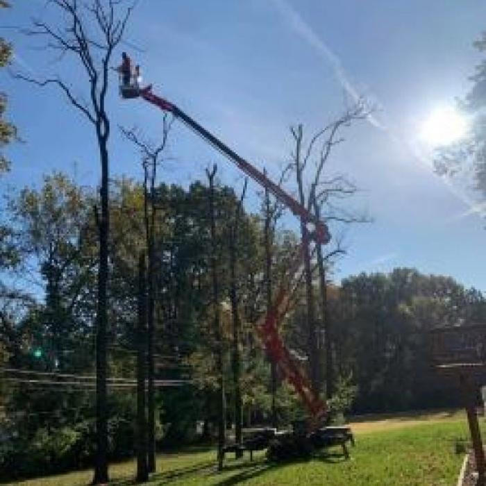 Mid America Tree Experts - Pacific, MO