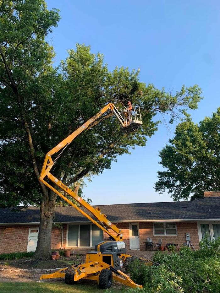 Mid America Tree Experts - Pacific, MO
