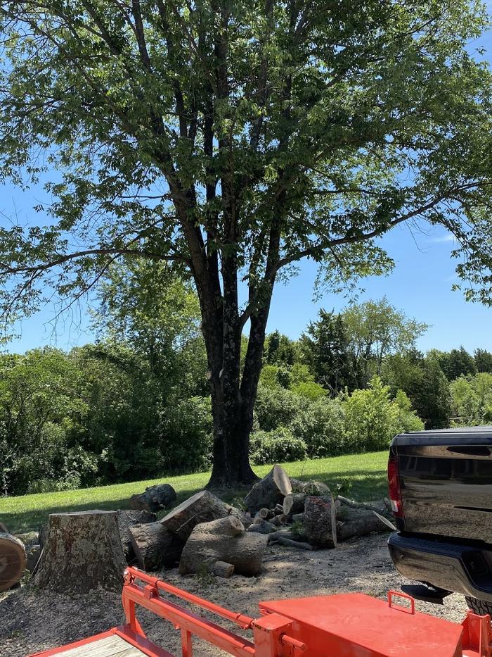 Mid America Tree Experts - Pacific, MO
