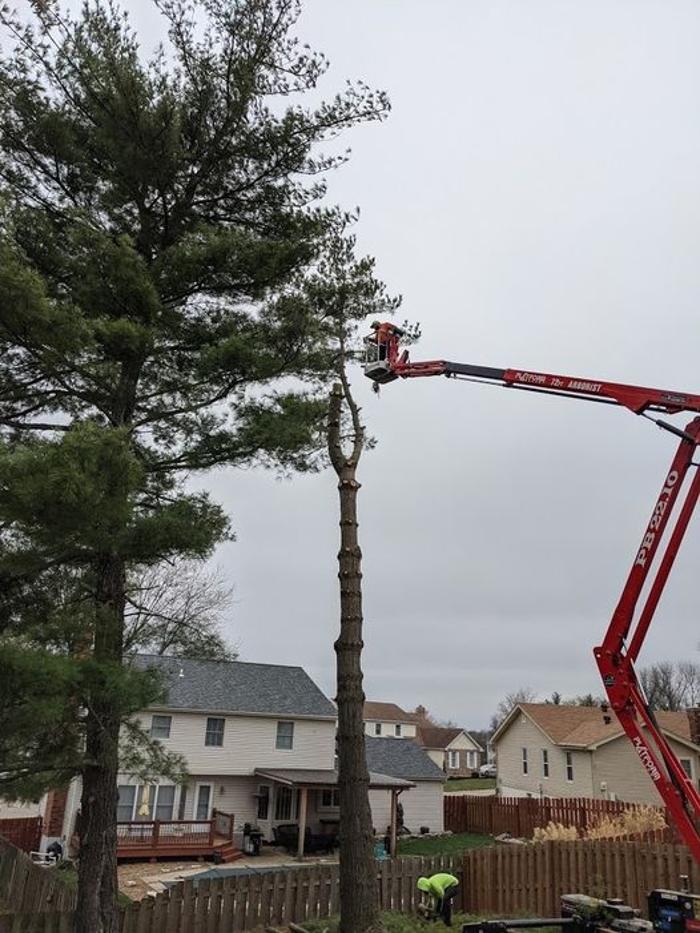 Mid America Tree Experts - Pacific, MO